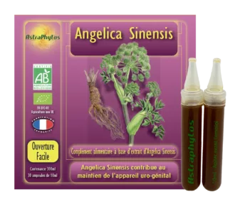 Nouvelle-boite-Angelica-Sinensis-doses-liquides-Astraphytos